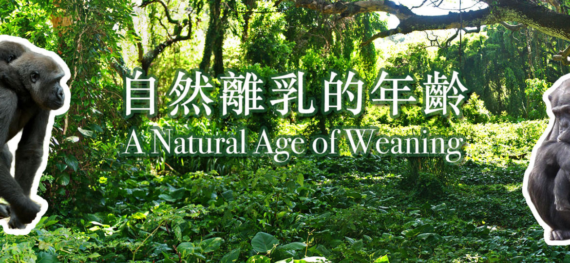 natural-age-weaning